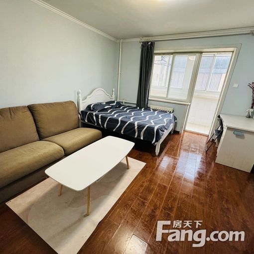 呼家楼地铁站 关东店 团结湖向军南里 小区出租一居室随时看房