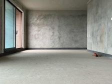 渝北区 金科九曲河东区大平层 四房 470万