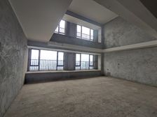 双书包,公园旁,双轻轨鲁能城顶跃带露台196万