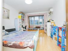 亚运村安慧北里逸园1室1厅地铁双线交汇,南北通透一居