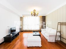 圣世一品1室1厅精装修