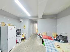 浦东三林 三林苑 南北通透 2室1厅 动迁房近11号线三林东