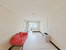 红莲北里 1室1厅 南