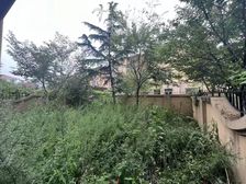 小平岛圣汐湾独栋别墅 车库入户 南北大院 户型大气适合住