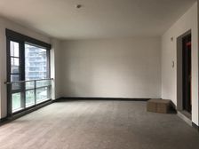 渝北区 龙湖舜山府一期大平层 三房 438万