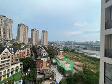 中粮天悦壹号悦峯 板式小高层 看江 横厅大四房