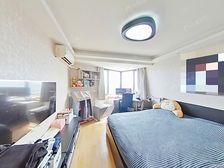 洋泾内环内+双铁路+近滨江+税费少+太古汇辐射区