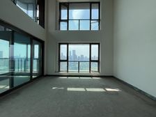 重庆豪宅 南岸区 长嘉汇五期 八房 3500万