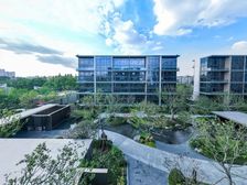 主城高端社区江南春 白荡河畔 洋房大平层联系我享渠道优惠