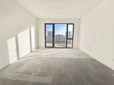 新上 高新 佳乐家旁 H户型双阳台 中间楼层 看房方便