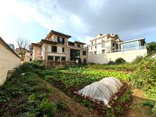 舜山府内圈独栋别墅,送2亩花园,带8车位诚意出售,南北朝向