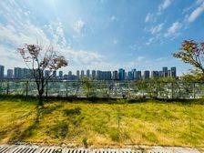 能观湖的一楼花园洋房,送60平米花园。采光视野绝佳,