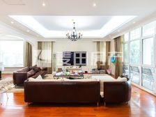 独栋别墅 花园300平 价格美丽 丽嘉花园 青苗就在小区旁边