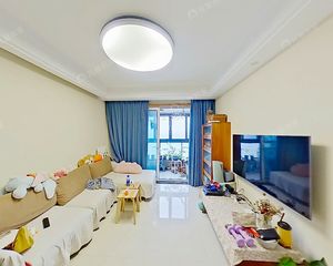 东方海岸新出 沿江楼幢 一线江景 三开间朝南全明户 精装好房