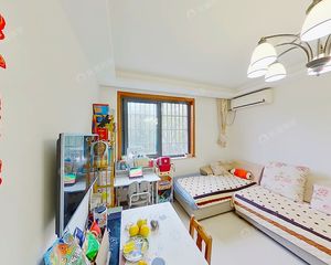 观成武林, 城北体育公园 阳光好 清爽装修