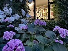 双桥地铁 DREAM2049文创园400平花园独栋独院出租