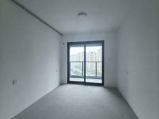 云江府1室1厅1卫南朝向101.0万元/套出售