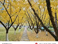 汽博中心改善必看 世茂璀璨天城 上叠送露台 客厅挑高6米