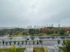 中央公园一环香港置地大平层。公园大道上组团 耙活 房源保真!