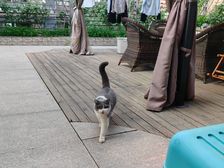 万科紫台花园洋房万科物业