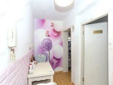 精装全明双南户型,3号友谊路地铁