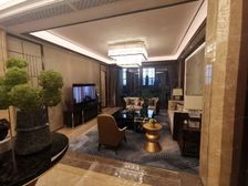 一座城市一座星河湾 瞰海美宅 精装现房 星河湾202平