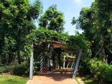 房东 澄迈富硒养生度假 美伦水岸花园配套观景双阳台及花园