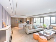 嘉宏风华系大平层,6恒科技房,自住保养好