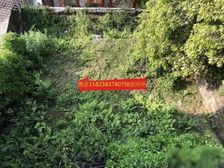 业主缺钱 江北区洪恩寺公园 保利山庄森林独栋 200平花园