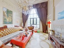 新出精装双拼 南客厅挑空 临绿地公园 视野开阔 采光充足