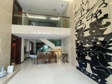 江南一品别墅4室3厅3卫南朝向1150.0万元/套出售