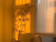 宝华源墅 178平4居 南向精装修
