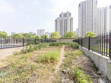 新出玉兰广场洋房底层复试 前后大院子 纯毛坯 随时看房