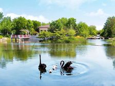 正南 润泽御府 4室4厅