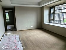 星湖湾全新交付,精装,地暖+中央空调