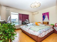 新上19+10号线夏季星空4室2厅