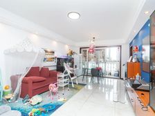 金桥欧式建筑小洋房.接受置换 精装电梯中楼层两房 双轨出行