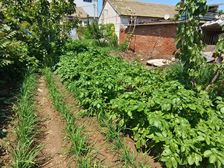 太阳沟独门独院土地约400平可翻新可翻盖手续齐全进市场交通便