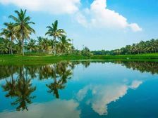 雅居乐清水湾椿颂 花园洋房 集合山、海、雨、林等自然元素