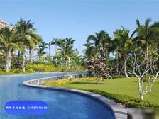 房东急售 清水湾 天赐南湾 南北通透 精装小户型 养老度假