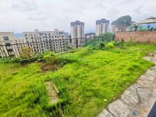 临涯大花园!!!俯瞰整个礼嘉江湾半岛 、次新横厅大洋房