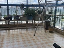 新出好房120万 钥匙看正南 隆源国际花园 4室2厅 精装修