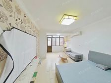 黄浦江边住宅,带大院子,边套全明户型,优质标杆社区!