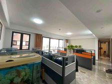 梦想之家 这套便是 年关变现急 华润万象华府 精装四房 实拍