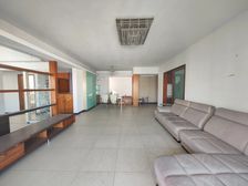 金田花苑 3 房 164 方