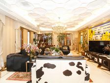 E户型,双车库,双厅朝南,全明地下,500平绿地