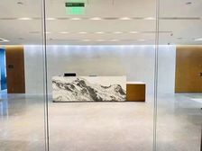 金水东路 楷林中心 280平 精装修 带一大花园 带家具可调