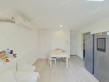 三林·永泰花苑·2室·1厅