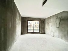 绿地观堂4室3厅2卫南朝向300.0万元/套出售