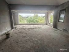 运河边 传世佳品吾悦朴墅双拼别墅毛坯已改造扩建超大院子